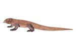 Enormous Komodo Dragon 130 Inch Long