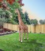 Giraffe 12 ft