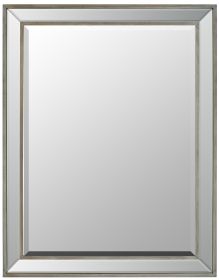 Brushed Spectrum Mirror 24X36 Antique Silver