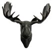 Imperial Moose Head Wall Décor