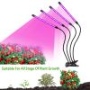 Grow Lights for Indoor Plants, iMounTEK 80W 80 LEDs Plant Lights with Red Blue Full Spectrum 10 Dimmable Level